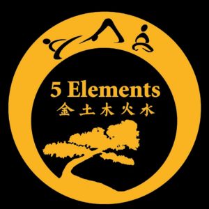 5 Elements Martial Arts Anniversary Logo